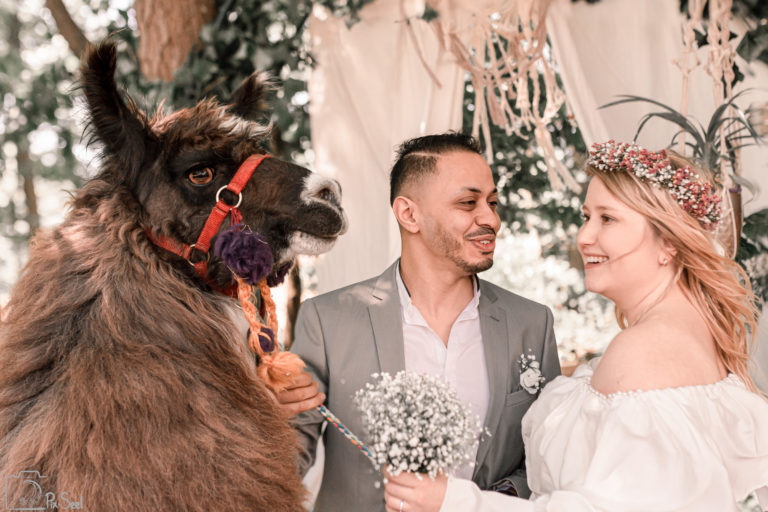 photos mariage lamas