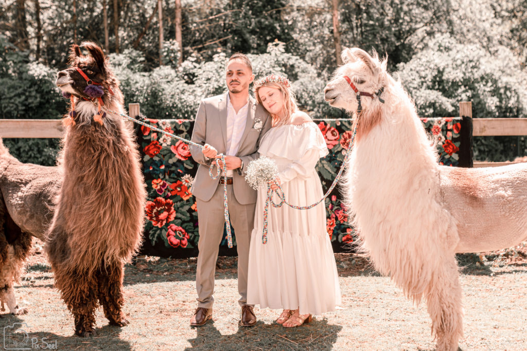 photos mariage lamas