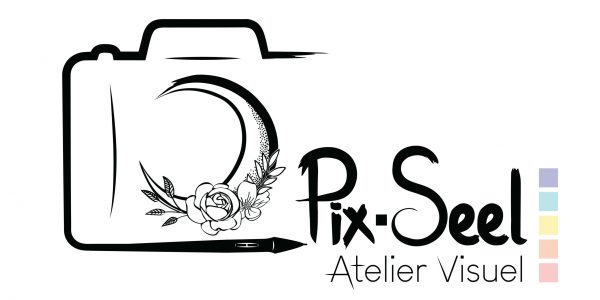 logo PixSeel